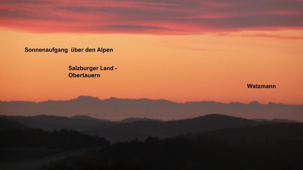 Kirchdorf im Wald Ferienwohnungen Alpenblick Mit Garten -Panoramasauna- מראה חיצוני תמונה